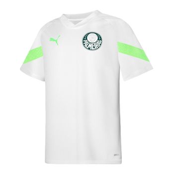 Camisa Palmeiras Third (3) 2023/24 Puma Torcedor Manga Longa Masculina