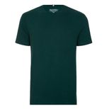 camiseta-veste-palmeiras-basic-masculina-0979822379