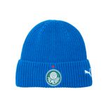 gorro-puma-palmeiras-ess-0997280022
