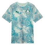 camisa-prejogo-puma-palmeiras-2026-masculina-0997770393